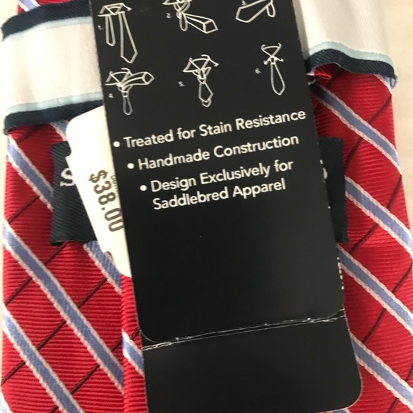Silk Tie Stain Resistant Red Light Blue Striped Brand New Saddlebred - Picture 3 of 9